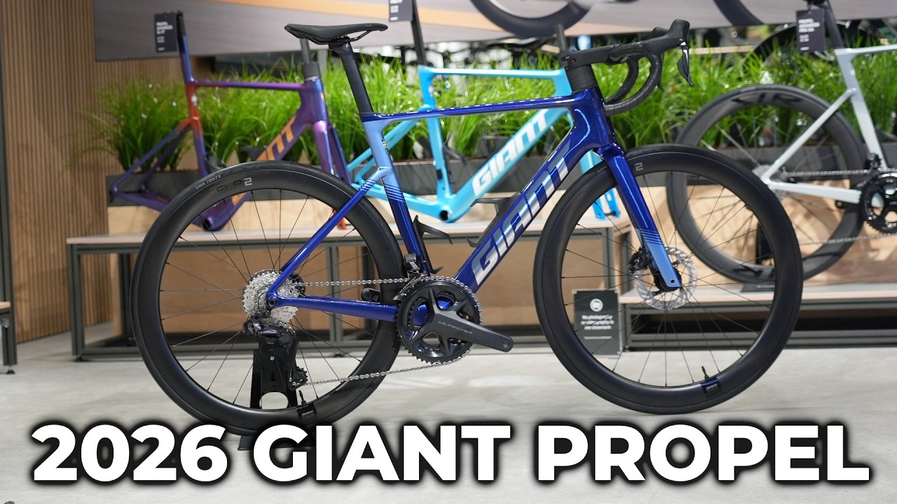 The Best Value Race Bike of 2026?
