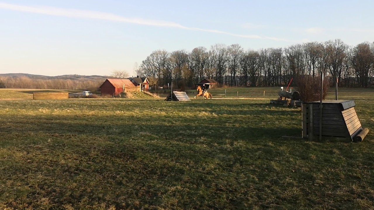 Lundin eventing 21/3-20 Testarossa