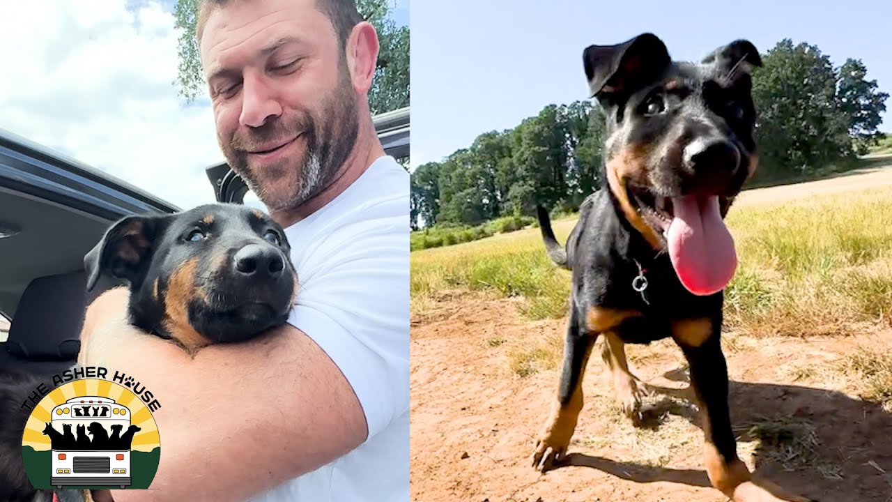 Miracle was found barely surviving in a ditch | The Asher House