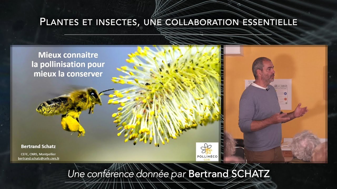 🐝Bertrand Schatz - Plantes et insectes, une collaboration essentielle - Festival Baie des Sciences