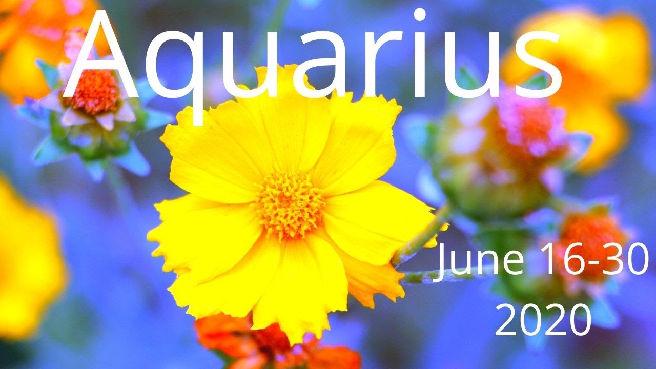 Aquarius, Surprising Turns || Psychic Empath Reading