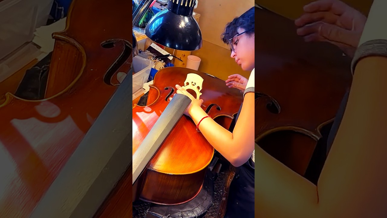 In The Workshop 🎻👀 