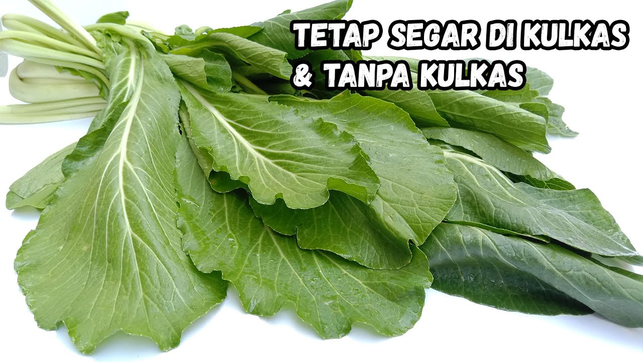 Cara Simpan Sawi Caisim Agar Tetap Segar di Kulkas & Tanpa Kulkas