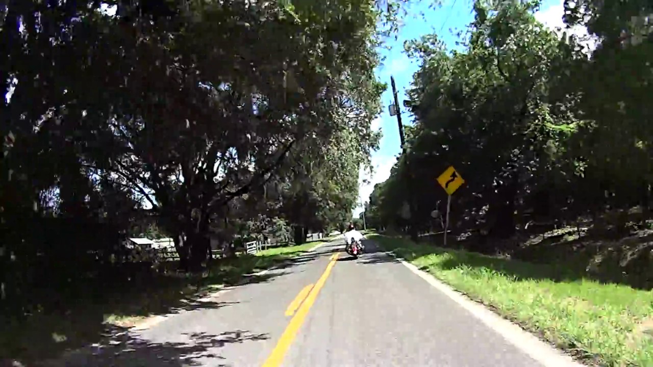 Best Back Roads In Florida are Waiting for YOU