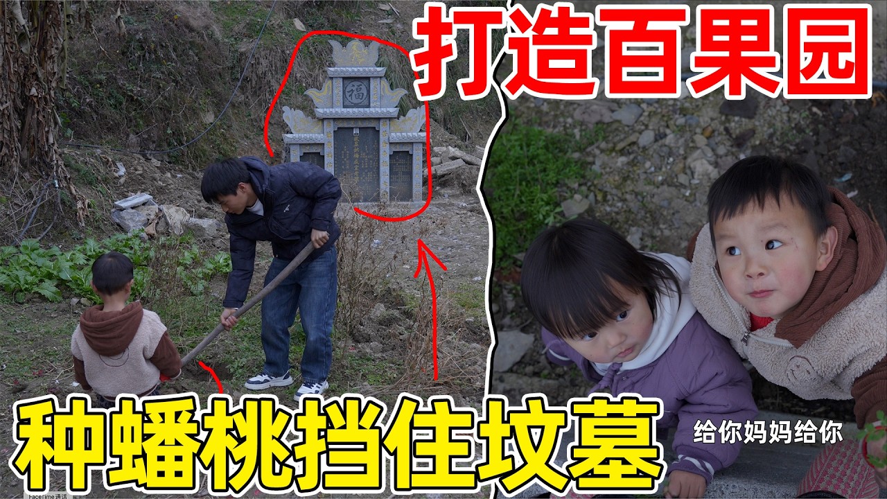 坟墓面向房子看着不舒服，种蟠桃果树当着，大家都说李俊迷信？