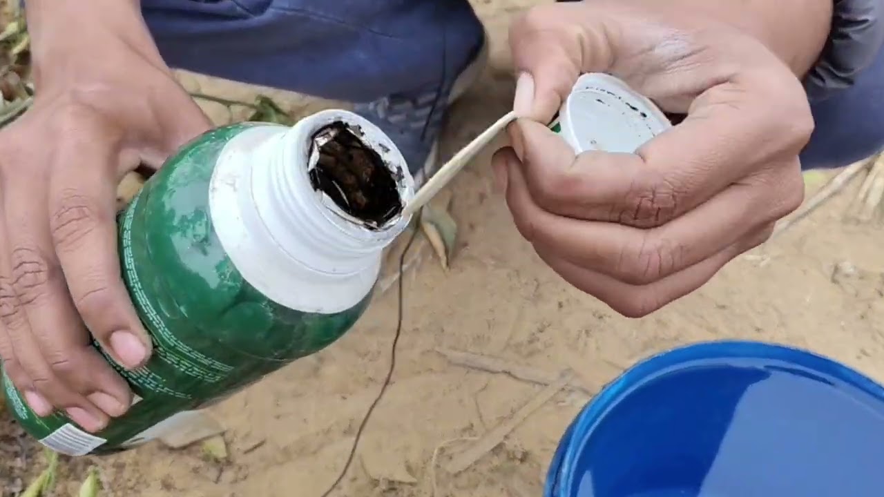 Organic NPK or Humic acid प्लांट ☘️को कब कैसे दे ताकी febuary में भर भर के फूल फल लगे#farming#garden