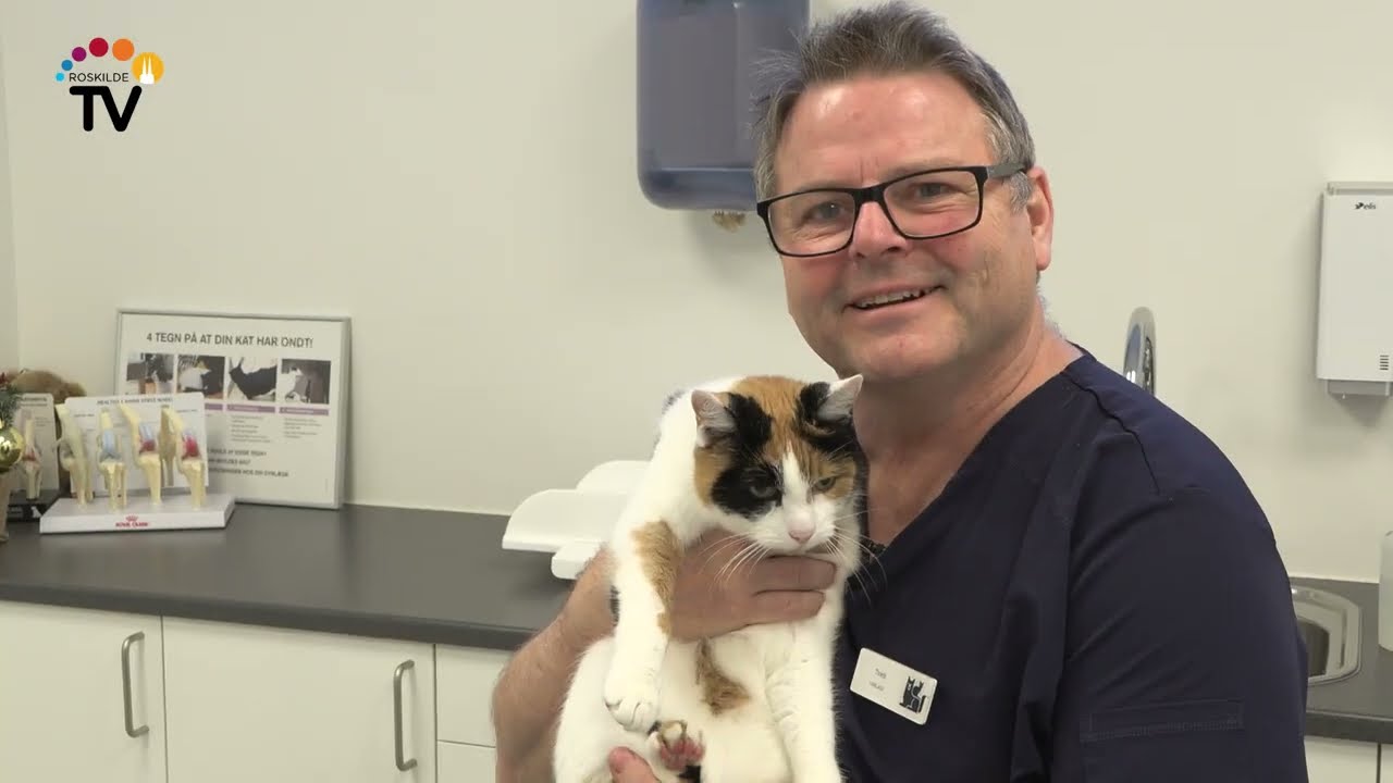 Dyrl&aelig;ge Troels og kattens ni liv