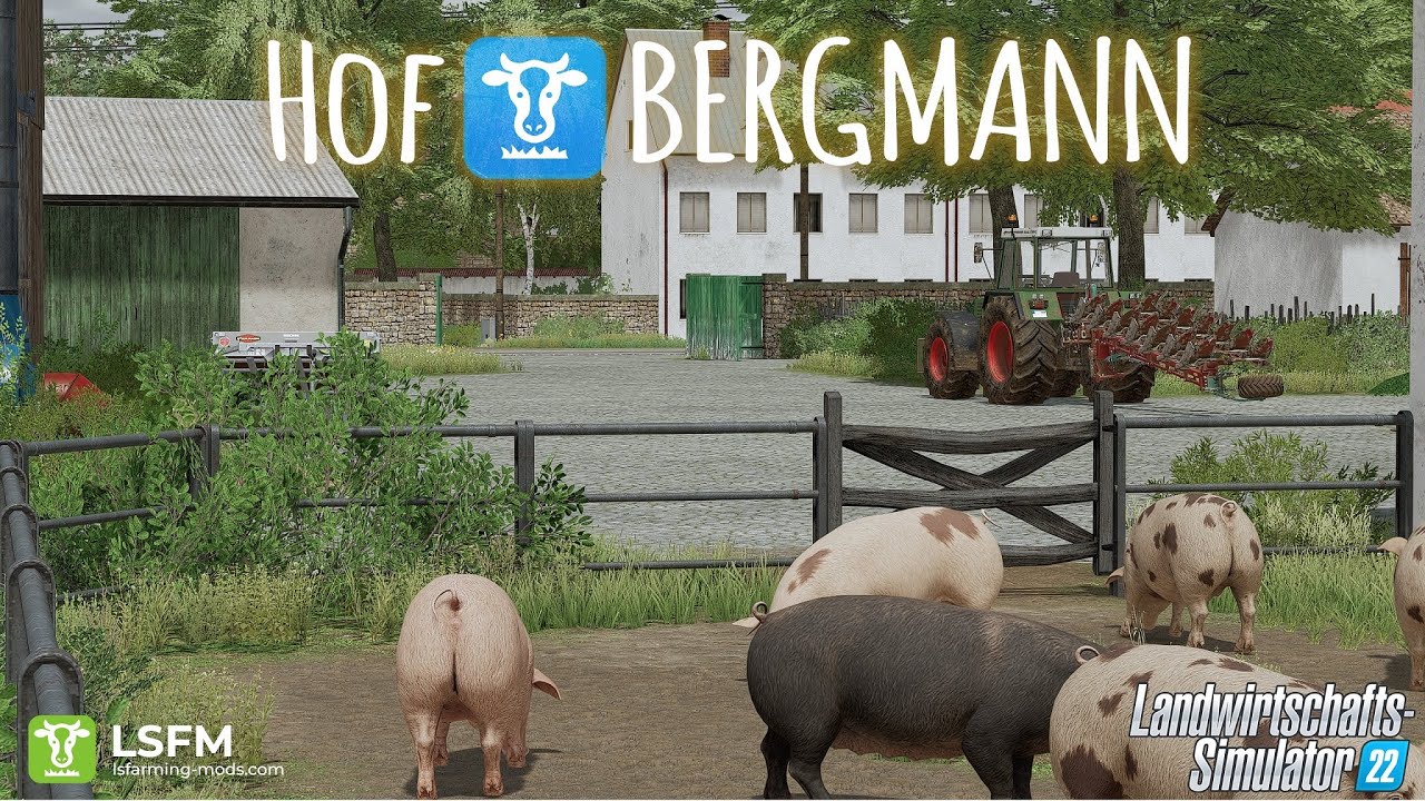 Hof Bergmann auf Server per FTP Laden