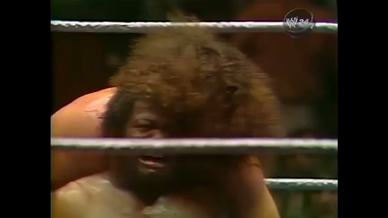 MSG 11/22/1976 Bobo Brazil vs Bruiser Brody