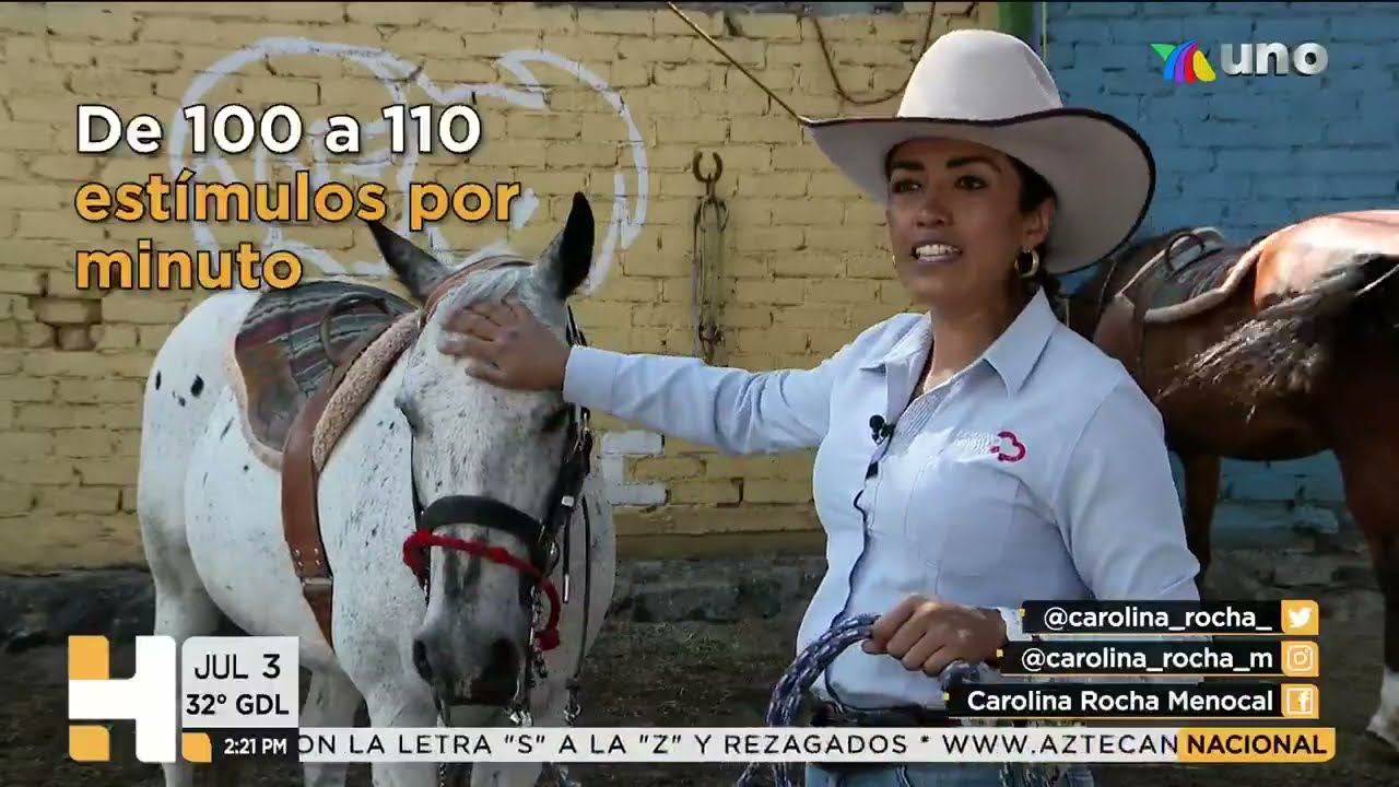 Carolina Rocha presenta: #equinoterapia para niños con discapacidad