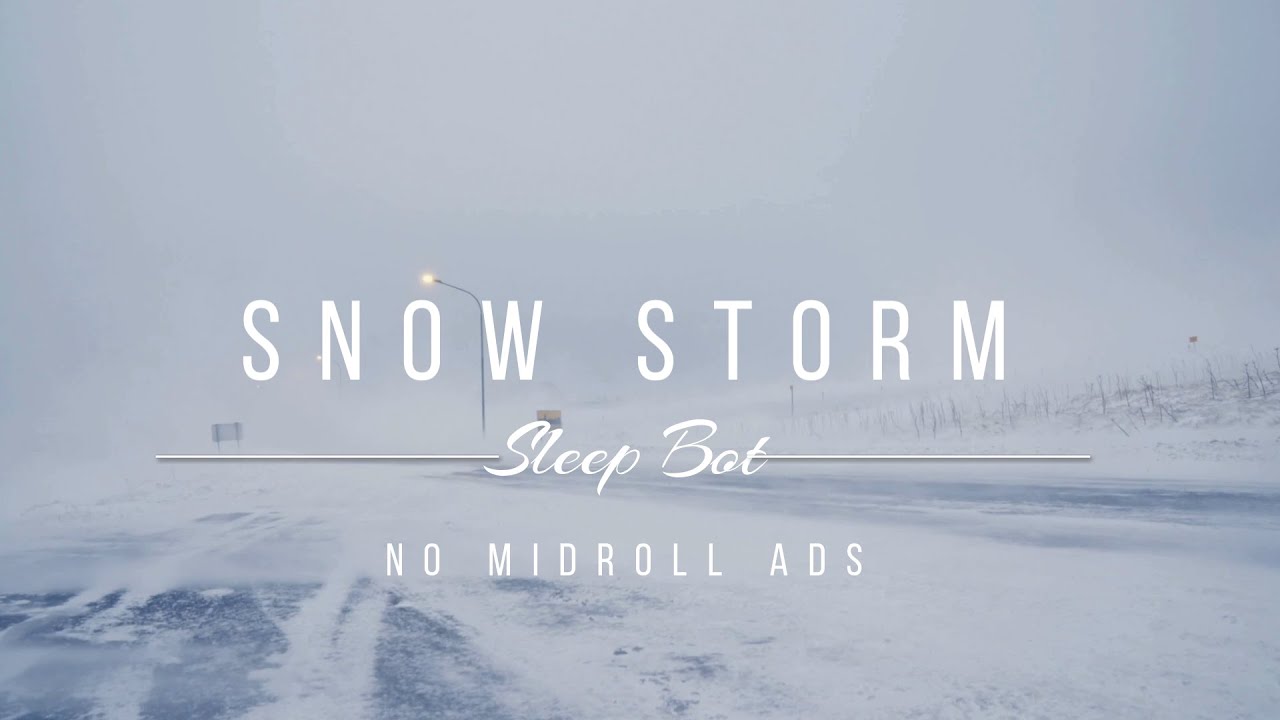 Snow Storm On Road | Howling Wind & Blizzard Sounds For Sleeping