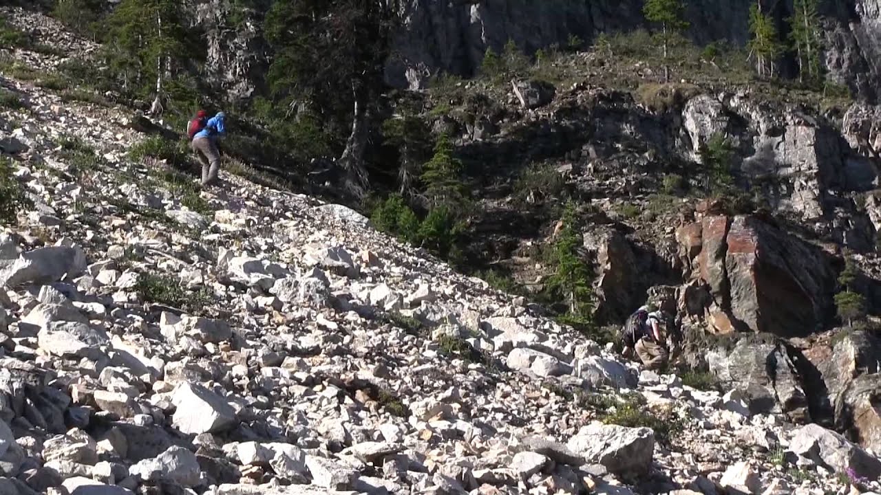 Mighty Burgess Shale fossil site discovered in Kootenay National Park