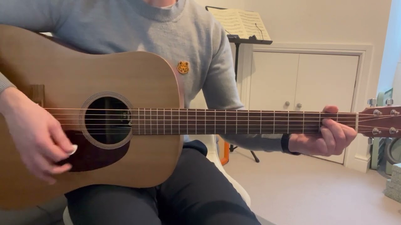 The Libertines - Can’t Stand Me Now (Cover)