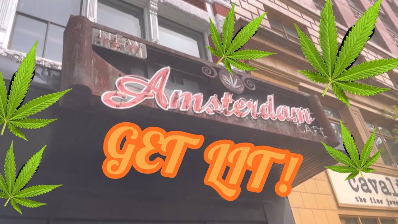 NEW AMSTERDAM CAF&Eacute;🇨🇦YOU CAN SMOKE WEED INSIDE!😎🤙🏼