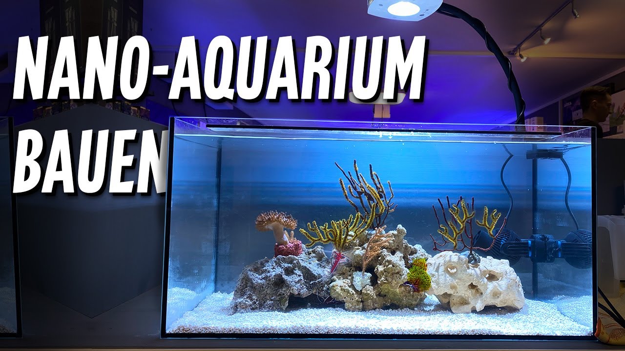 Nano Meerwasseraquarium - SO EINFACH WIE MÖGLICH!! - PlanktonPlus Aquaristik