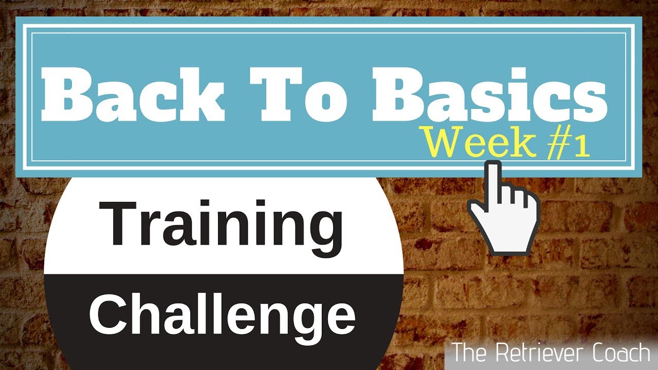 Back To Basics Training Challenge Week 1 Wagon Wheel Drill
