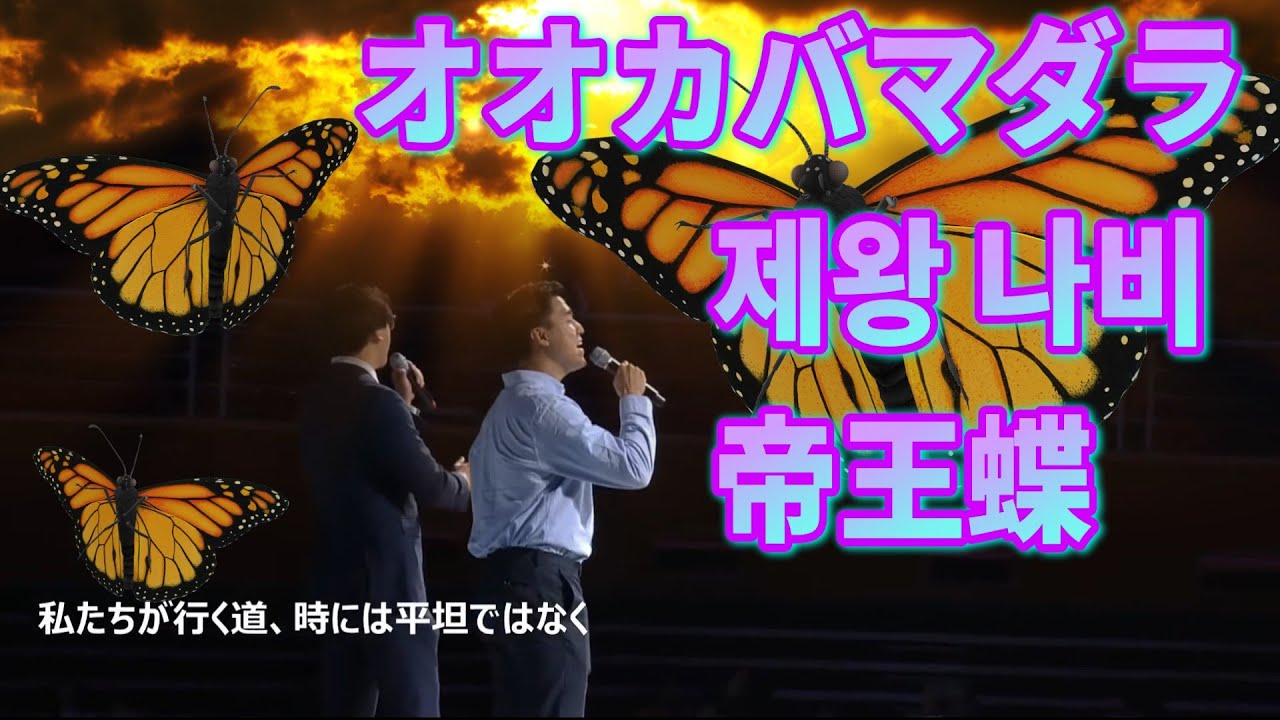 #チェワンナビ 제왕 나비 帝王蝶　（説明欄；日本語ルビ）