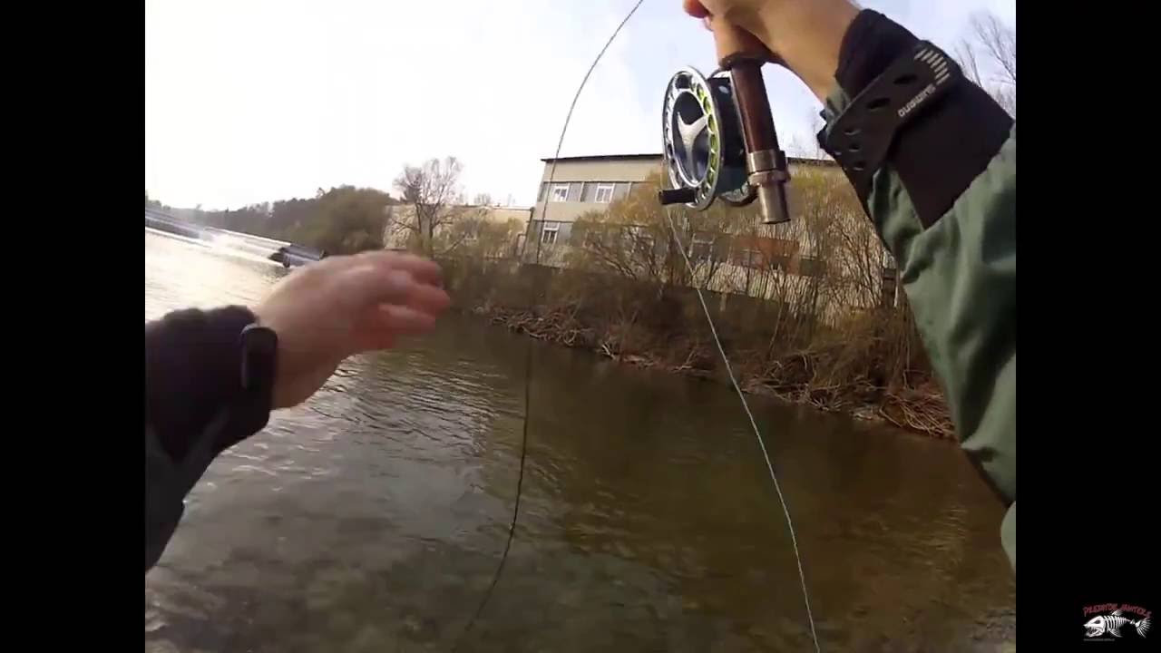 Fliegenfischen an der Steyr
