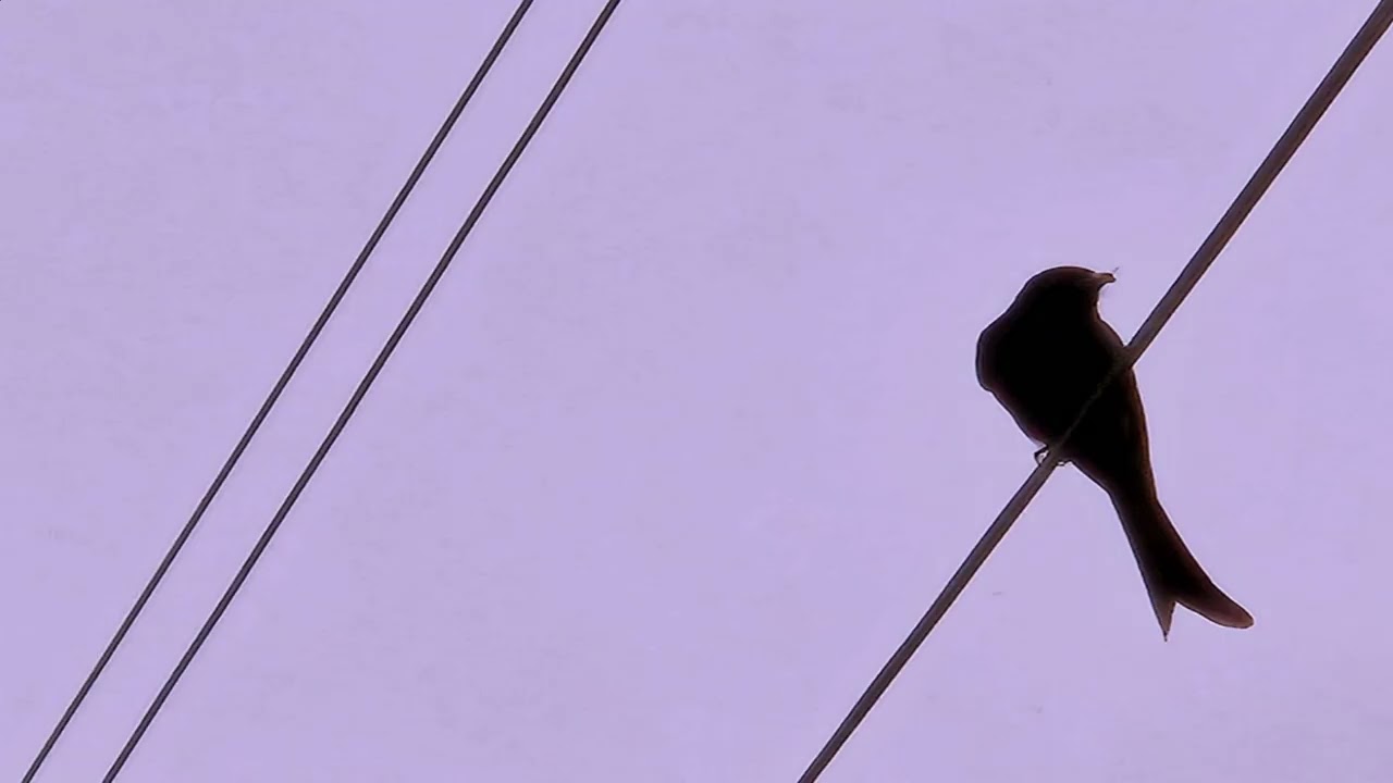 (Near the cross/十字架)...Strings E.Piano music