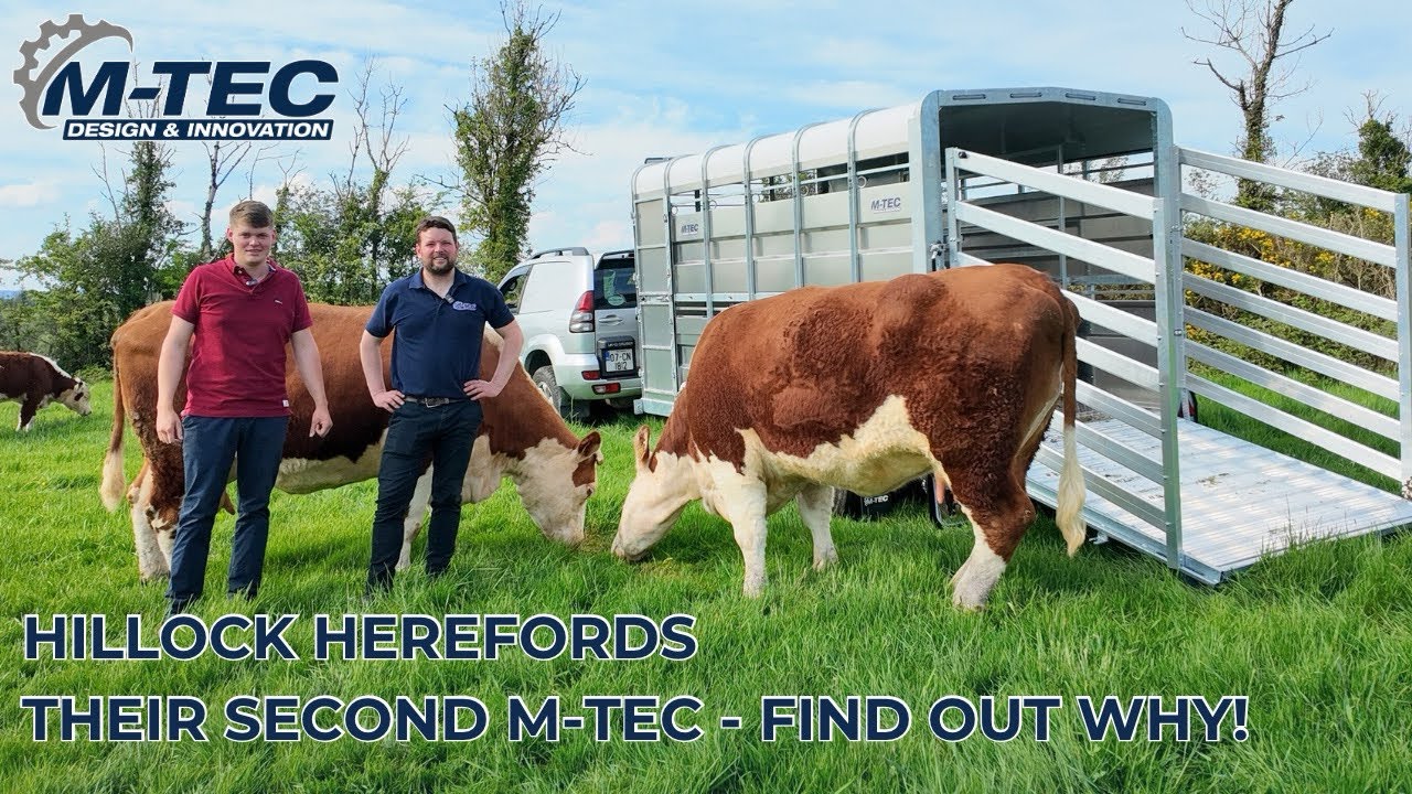 HILLOCK HEREFORDS - Why they’ve upgraded to an M-TEC 12FT Tri Axle Trailer!