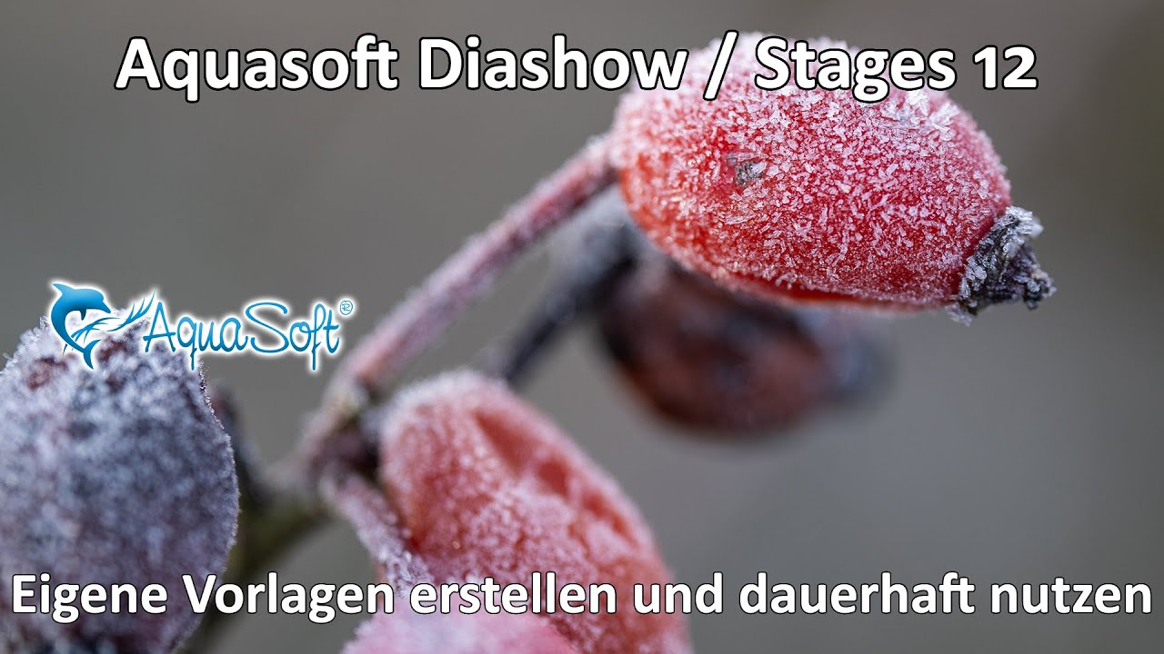 Aquasoft Diashow und Stages 12 - Eigene Vorlagen und Animationen erstellen und dauerhaft nutzen