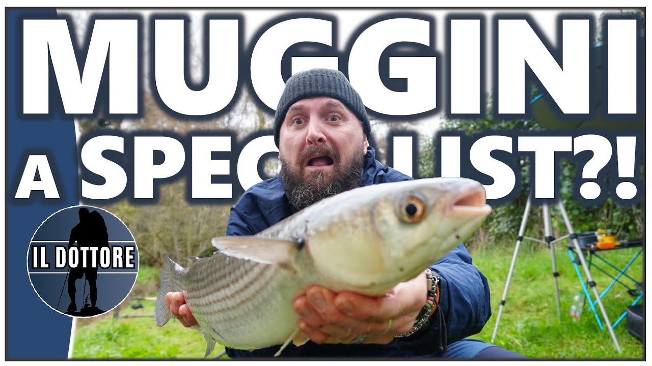 QUESTA cattura NON me l'ASPETTAVO! - Feeder Fishing in small ditches