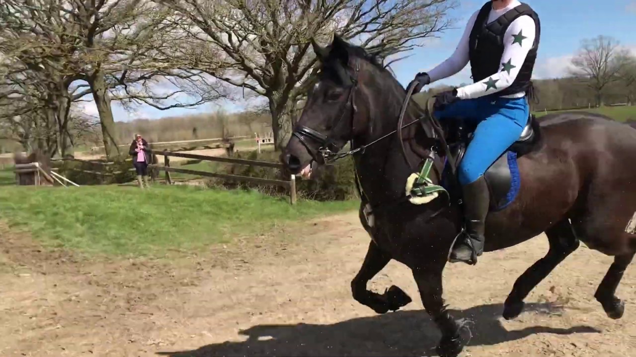 taking my (slightly crazy) new horse XC schooling for the first time [XC raws]
