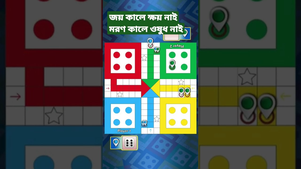 Ludu Game