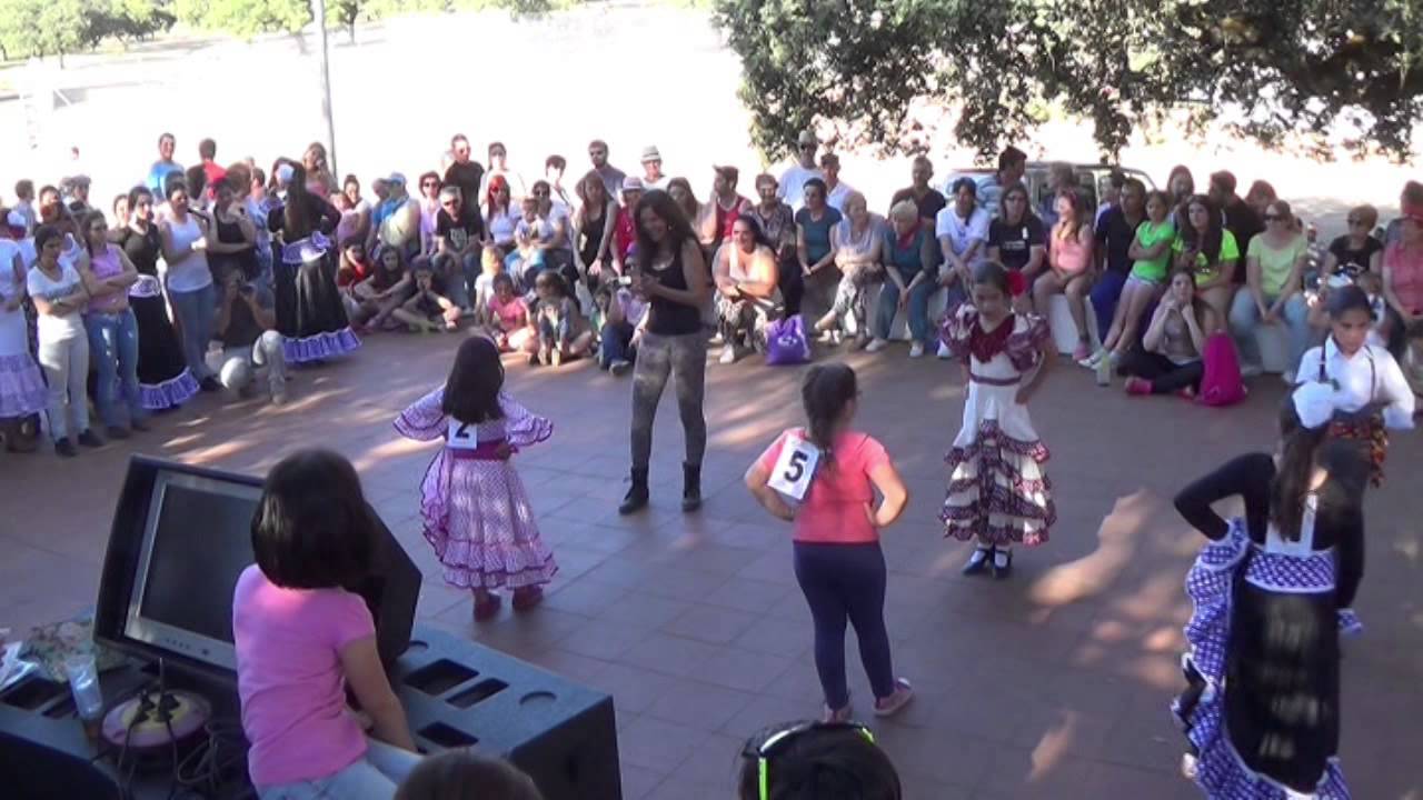 ROMERIA 2015 SALVALEÓN