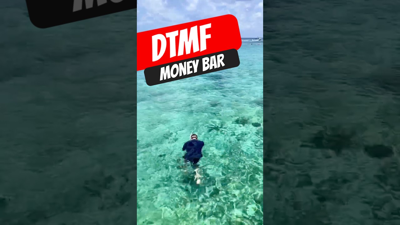 Money Bar Cozumel 🌴 Chair Vibes &ndash; DTMF Spot You Must Visit | Cozumel 247 Mexico