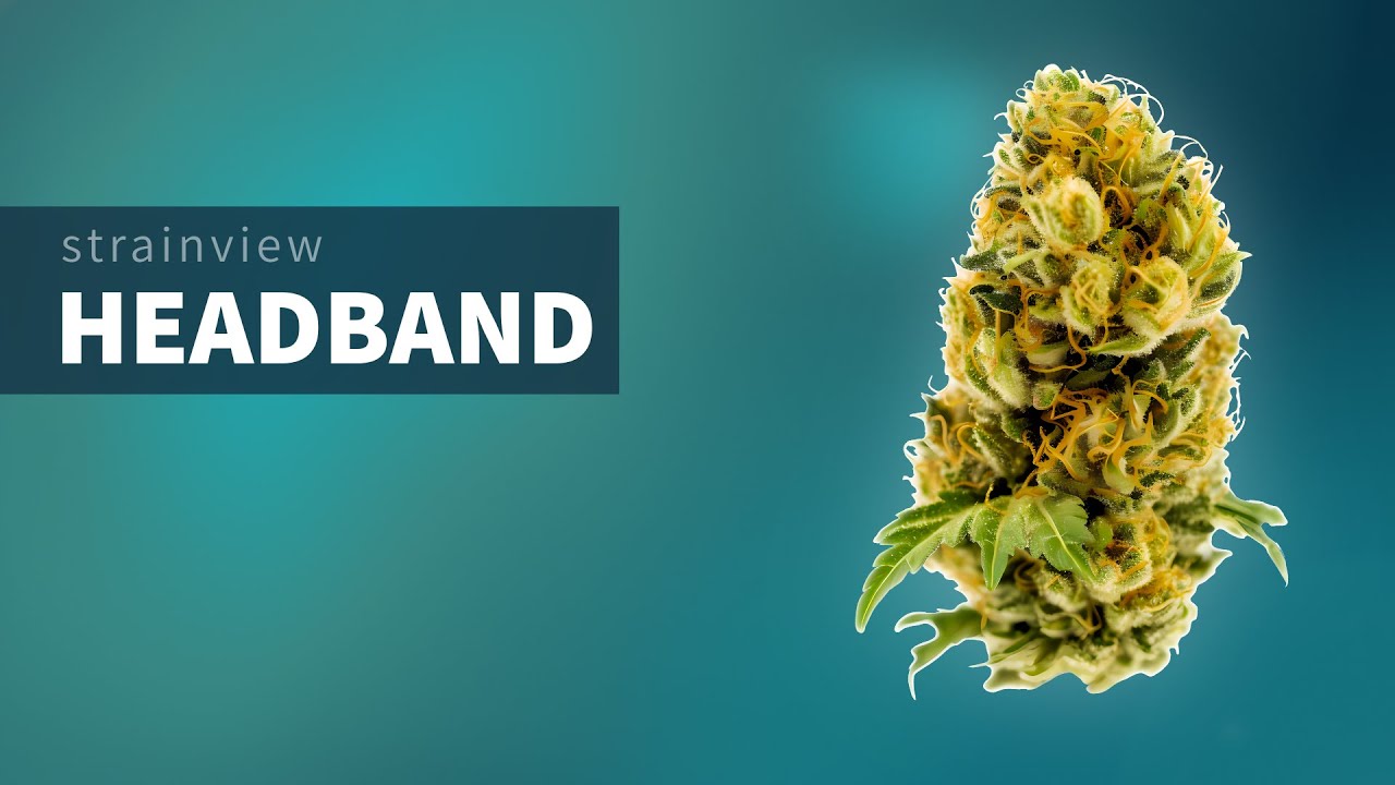 Headband - StrainView