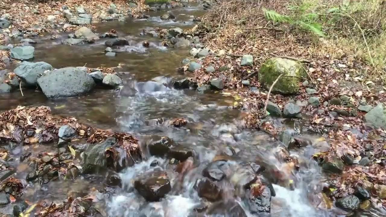 Relaxing Stream Sounds - Relaxation, Sleep, Insomnia