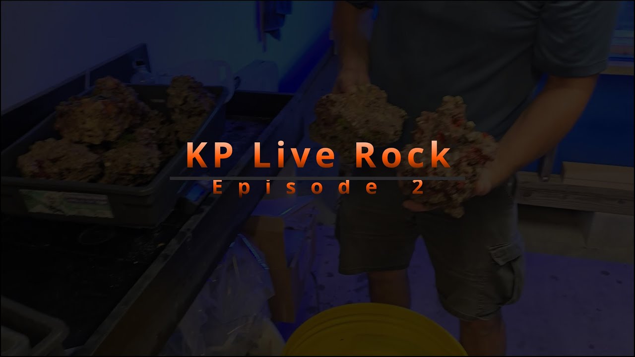 Reef Tank Re-Build With KP Aquatics Live Rock | Episode 2