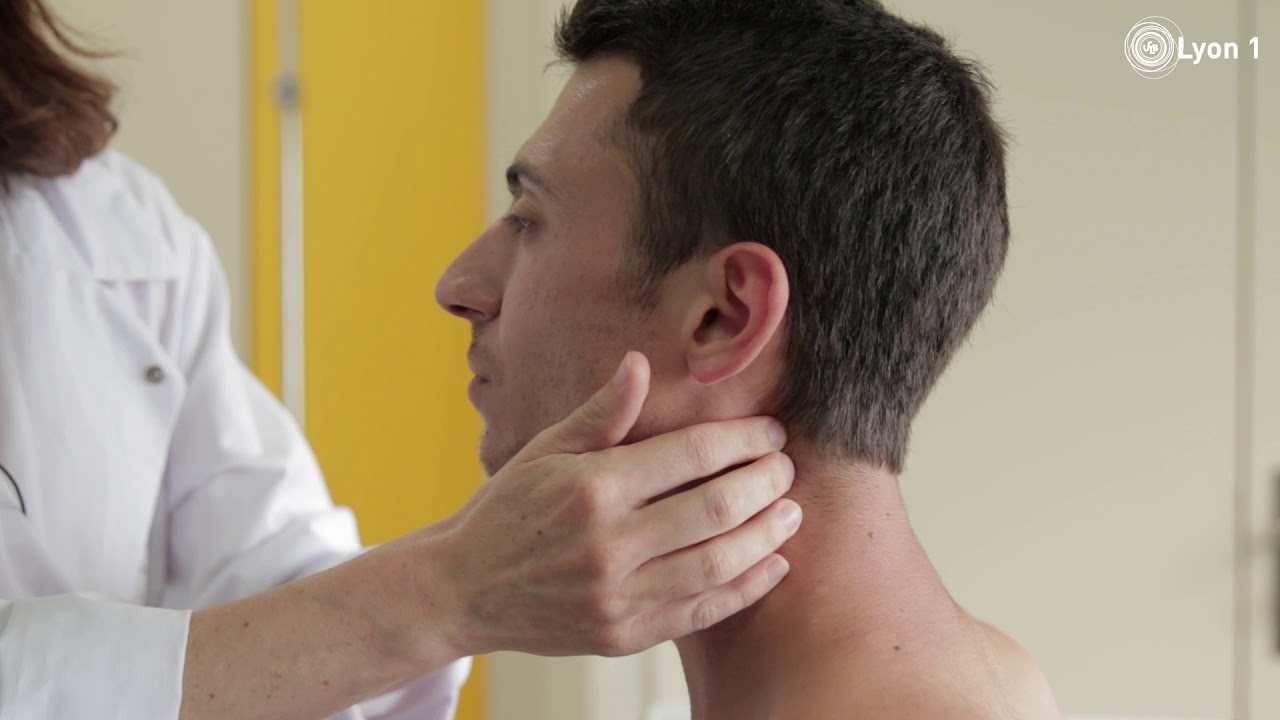 Palpation des aires ganglionnaires superficielles