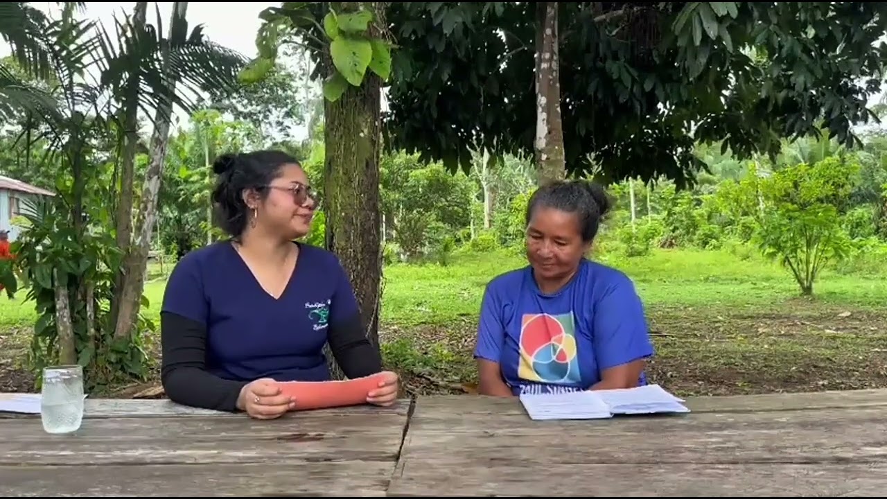 Justiça climática e povos indígenas  guardiões da floresta na defesa dos direitos humanos no Brasil
