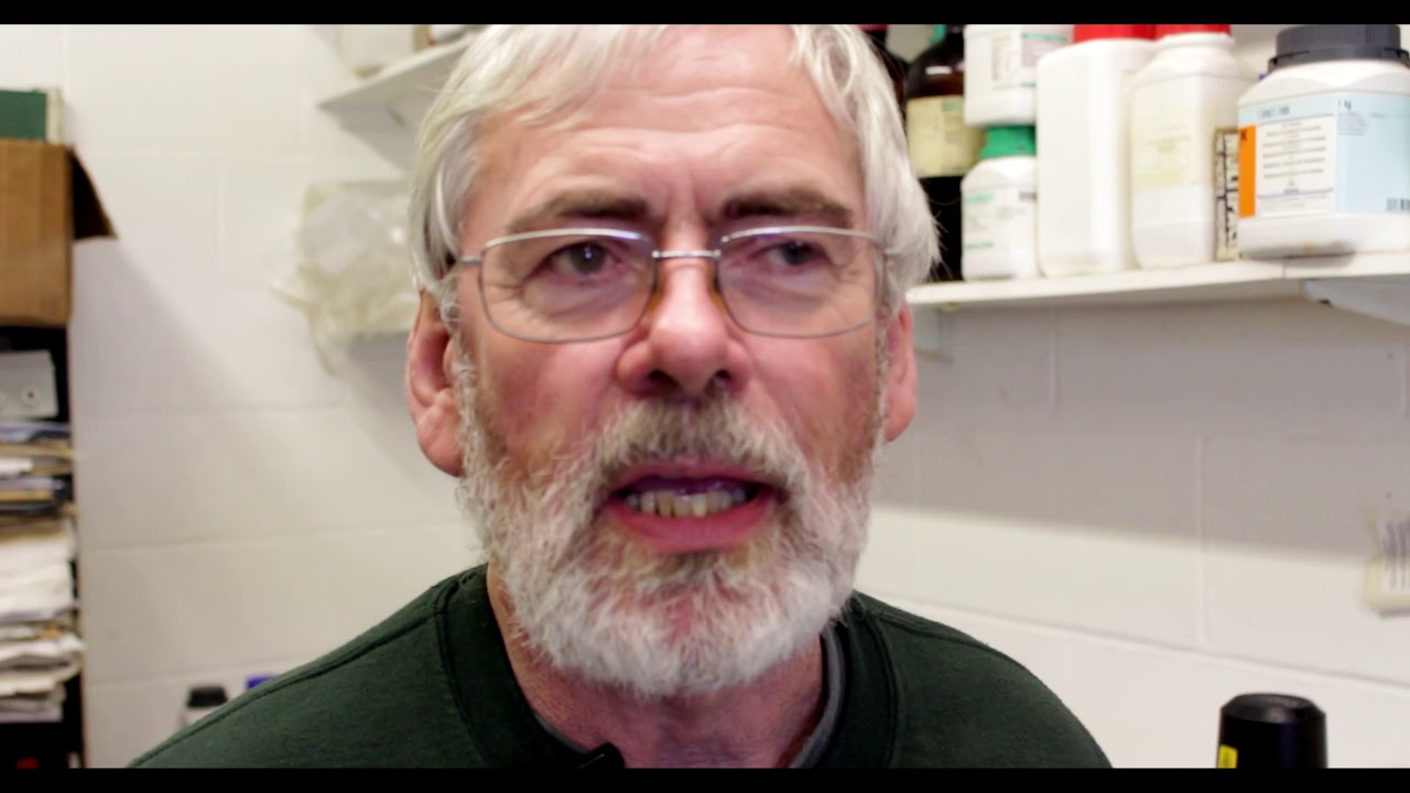 Galway Oysters Documentary Film