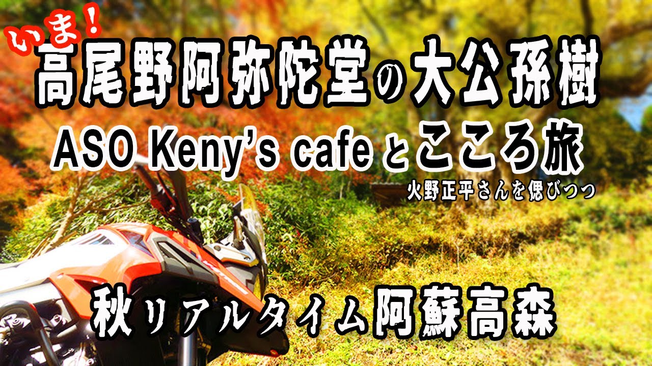 【阿蘇高森】高尾野阿弥陀堂の大銀杏と旅ライダーの灯台守ASOケニーズカフェ「茗ケ原茶寮火野正平さんこころ旅秘蔵映像」 V-strom250SX モトブログ