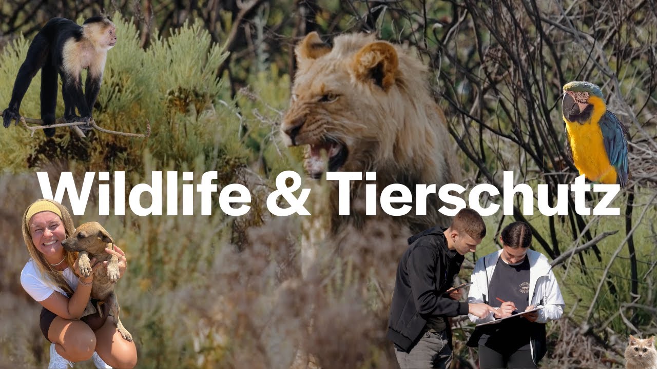 Tierschutz & Wildlife mit wayers in Südafrika, Sri Lanka, Thailand & co.