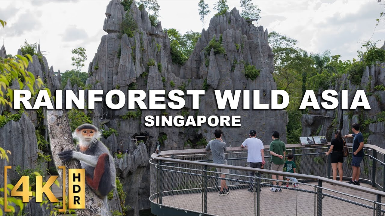 The NEWEST Wildlife Attraction in Singapore! RAINFOREST WILD ASIA -The First Adventure Park in Asia!