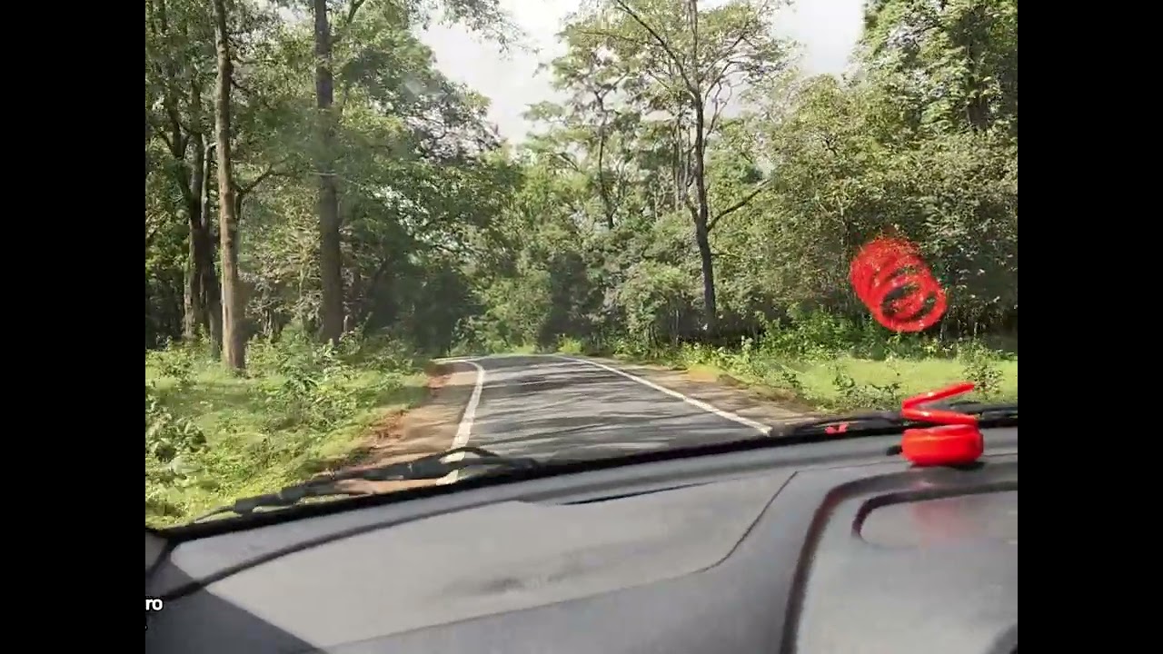 വയനാട് പുൽപ്പള്ളി ഫോറസ്റ്റിലൂടെ  ഒരു യാത്ര👌👌#wayanad##pulpally#video#lifeisbutadream 