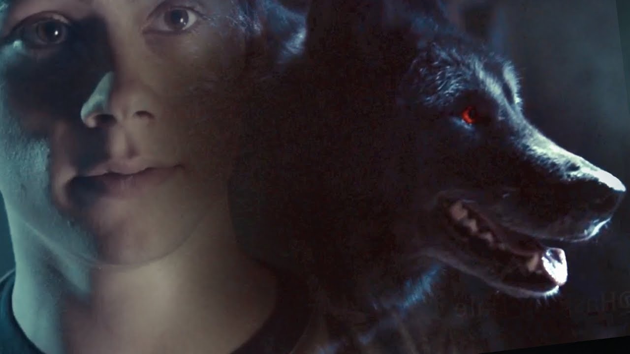 [...] where everyone finally gets what they want - [Sterek]