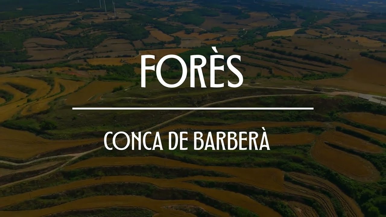 FORÈS - CONCA DE BARBERÀ - TARRAGONA - DRONE