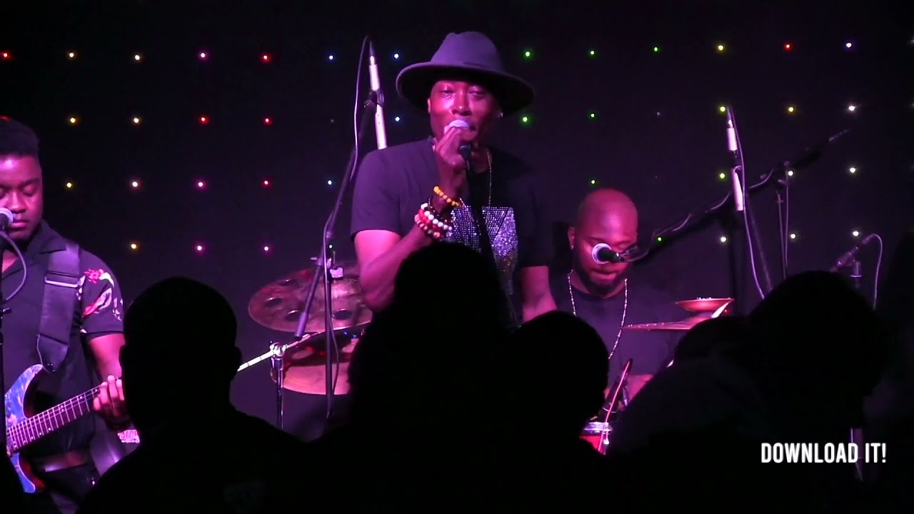 DISIP De Gazzman Couleur DISIP 1804 LIVE VIDEO WEST PALM BEACH 11 26 2020