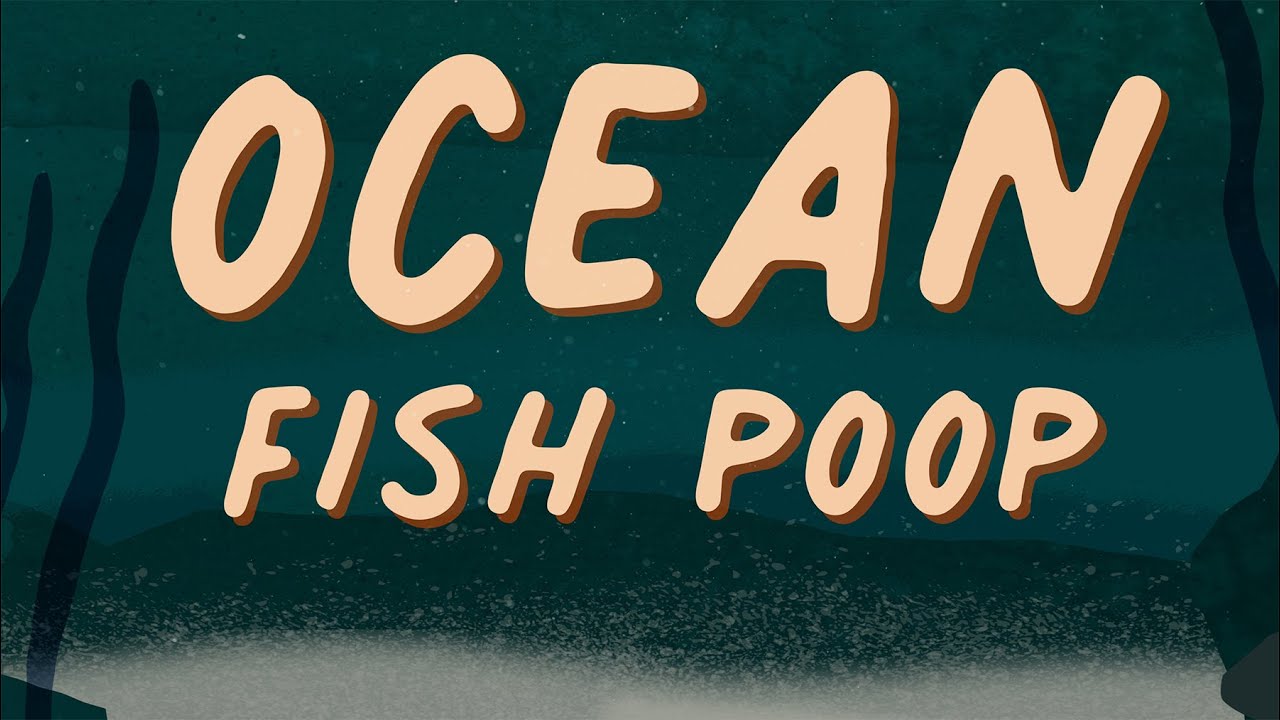 Long Story Shorts: How Does Fish Poop Keep Our World in Balance?