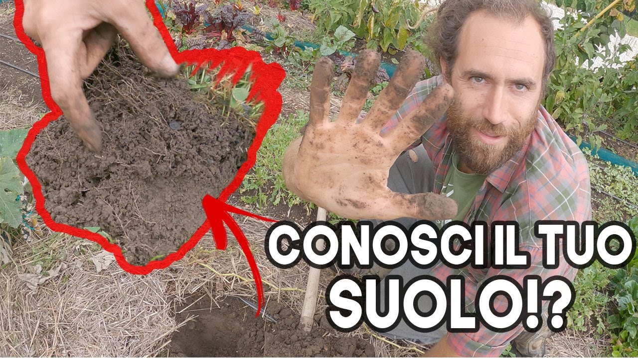 ANALISI DEL SUOLO, come e PERCHE' farle è importante, guida PASSO PASSO