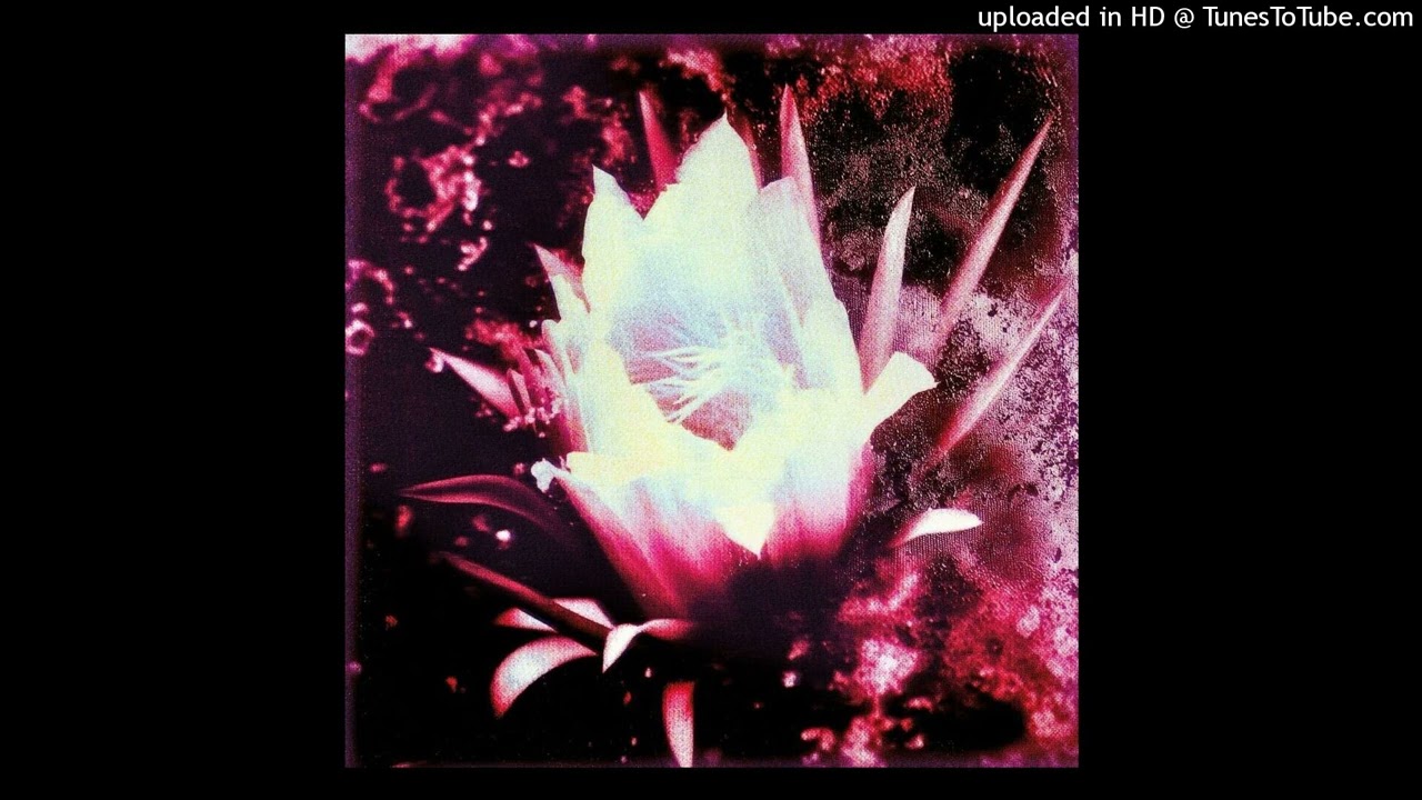 princ 132BPM [@kaizzr_ @prodaotb]