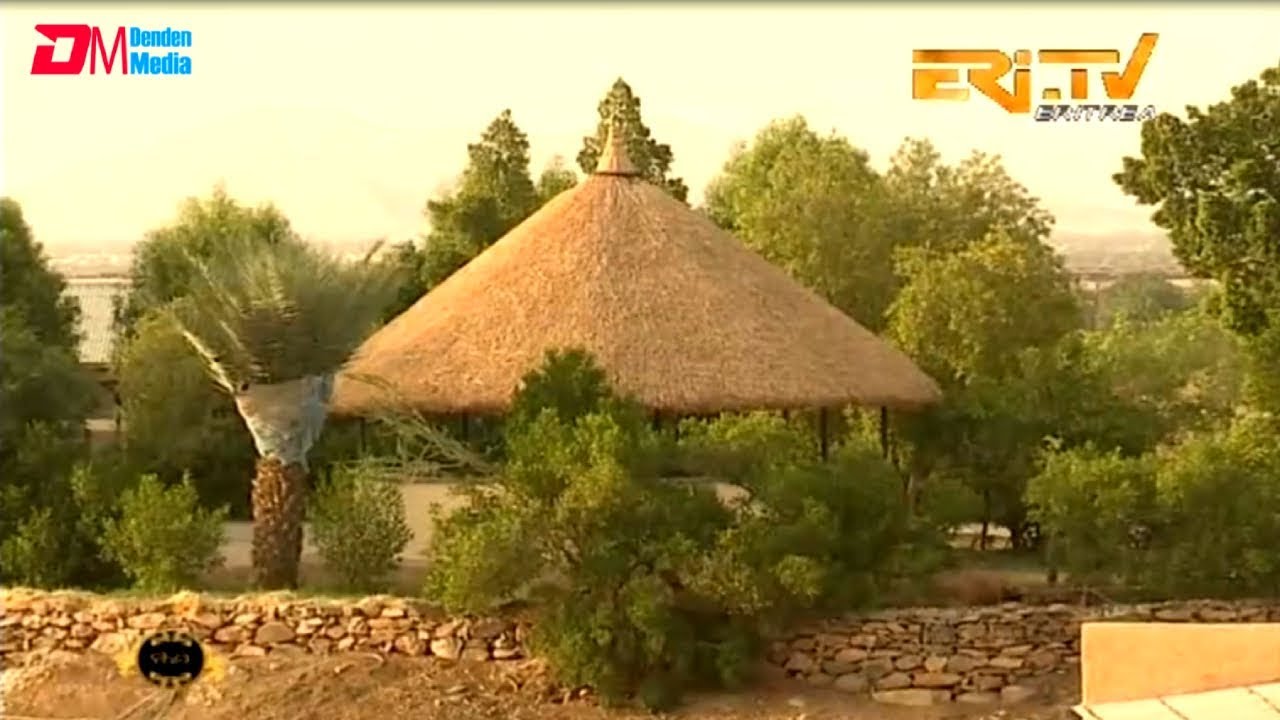 ERI-TV: ሳዋ ካብ ሓመድ ናብ ሓምላዊት - Turning Sawa from Desert to Green.