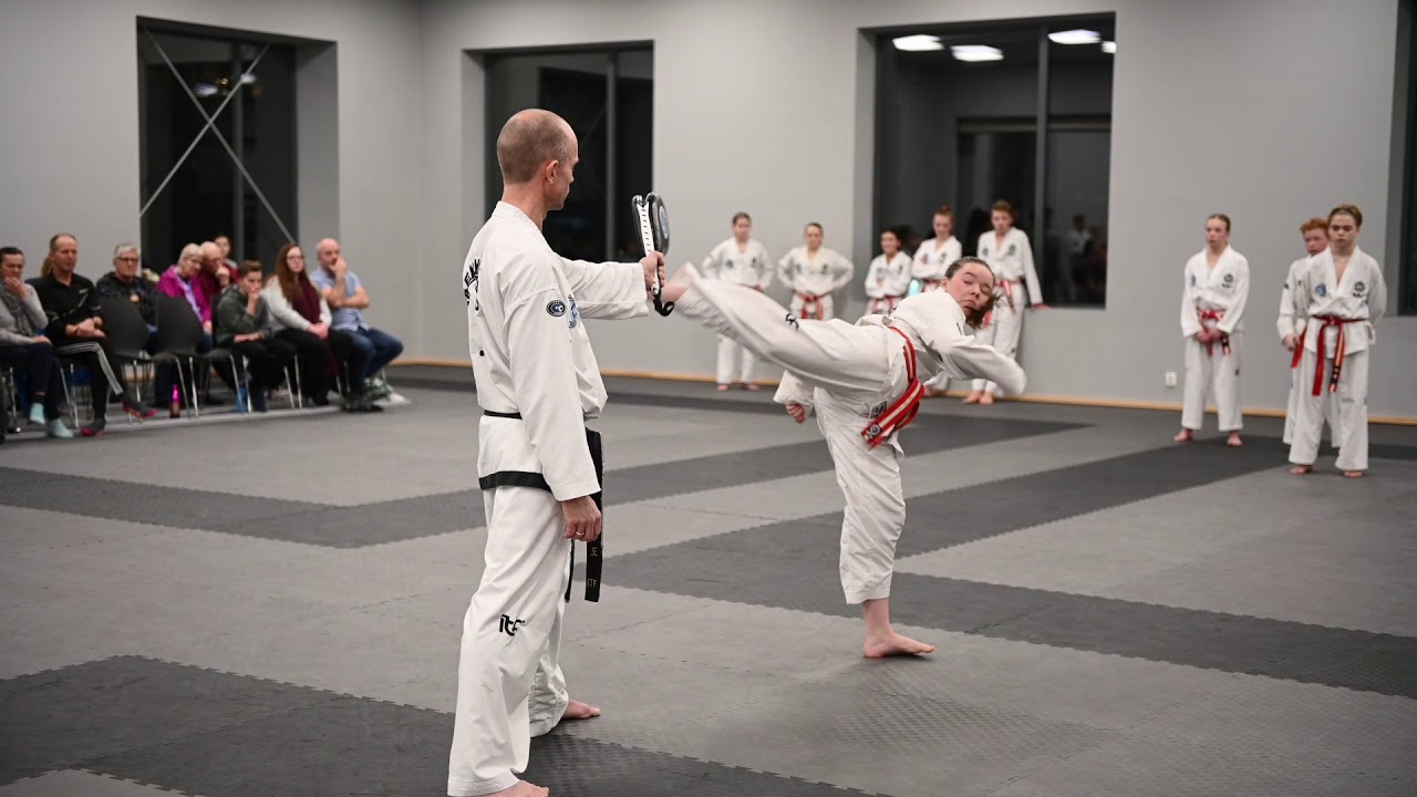 Taekwon do Gradering