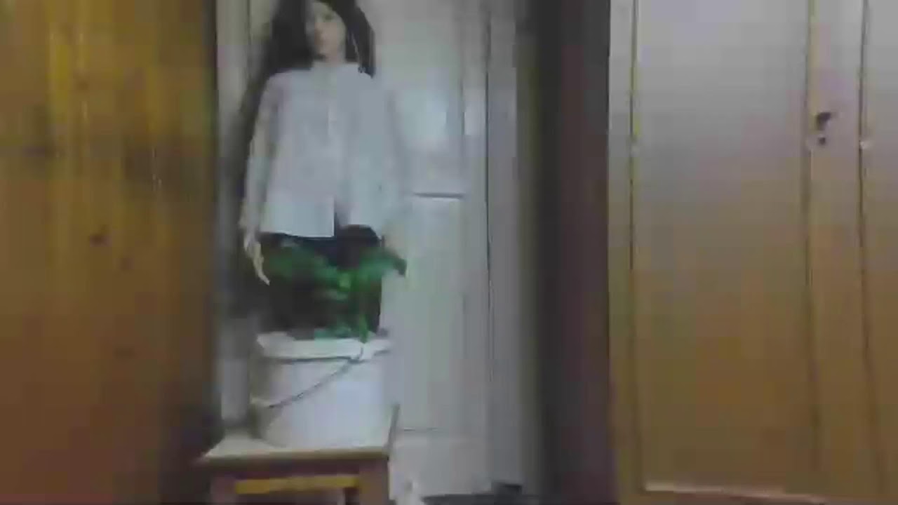 посиделки