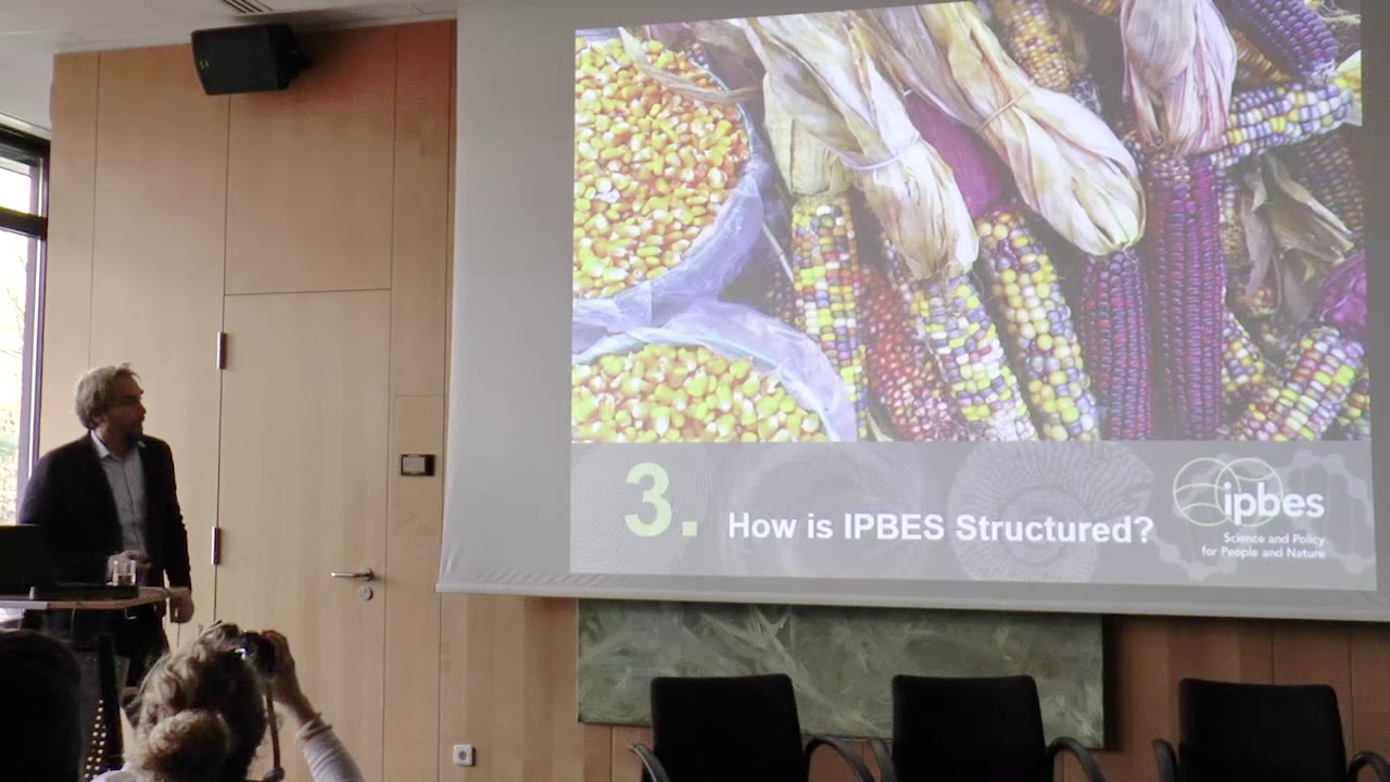 Ecosystem Services and Climate Change